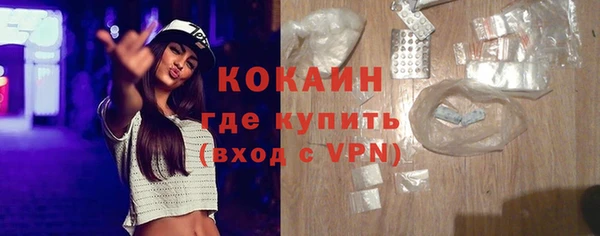 дживик Осинники