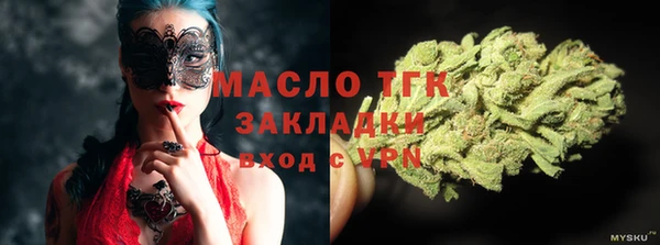 дживик Осинники