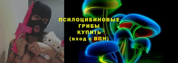 дмт Осташков