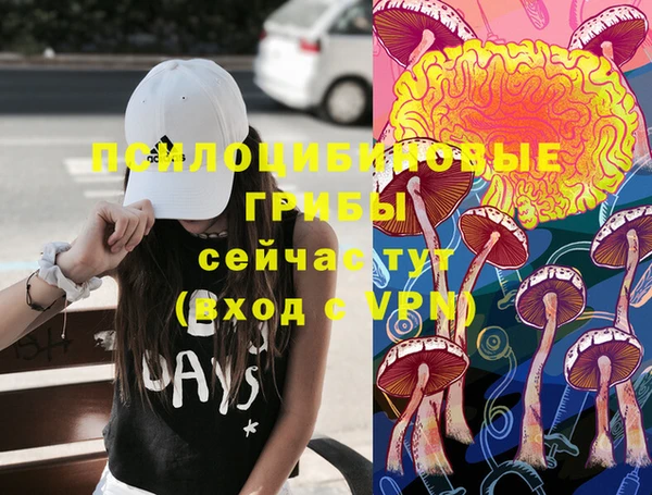 дмт Осташков